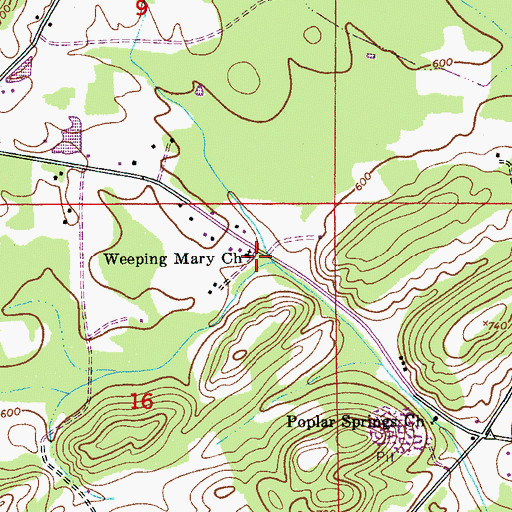 Topographic Map of Weeping Mary Church, AL