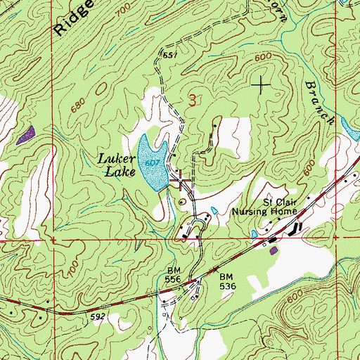 Topographic Map of Luker Dam, AL