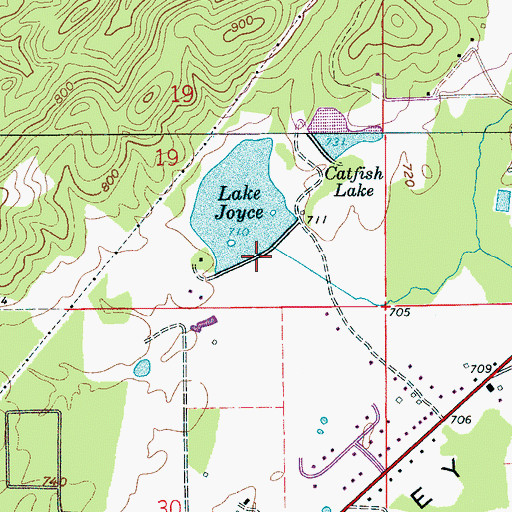 Topographic Map of Joyce Dam, AL