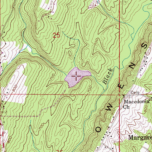 Topographic Map of Martin Lake, AL