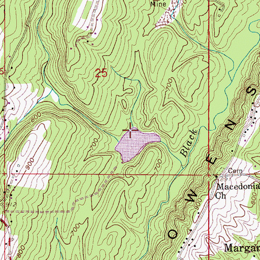 Topographic Map of Martin Dam, AL