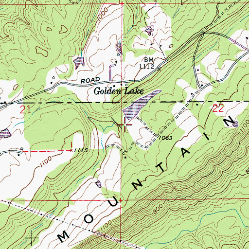 Topographic Map of Golden Dam, AL