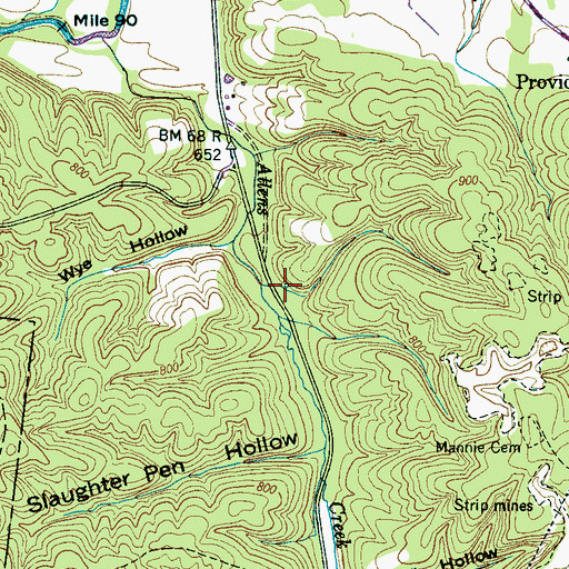 Topographic Map of Blowing Spring, TN