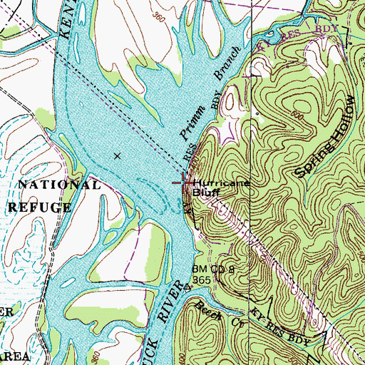 Topographic Map of Hurricane Rock Spring, TN