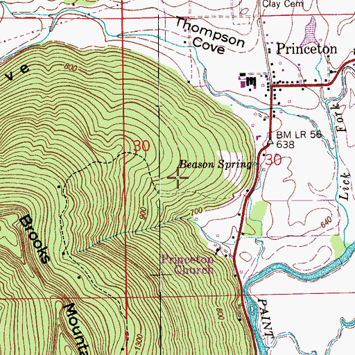 Topographic Map of Mount Zion Church, AL