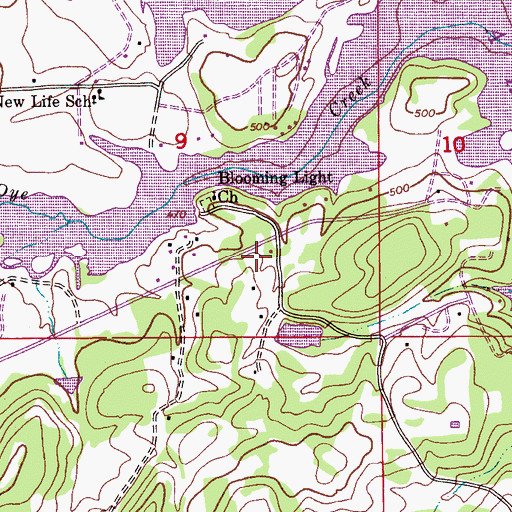Topographic Map of Robert Chapel Cemetery, AL