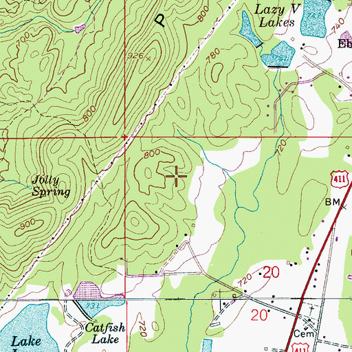 Topographic Map of Woody Acres, AL