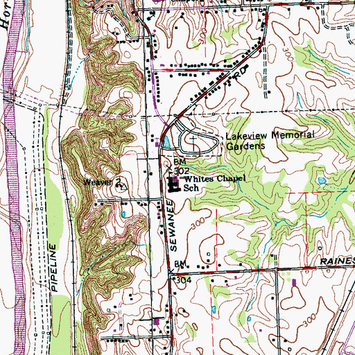 Topographic Map of Whites Chapel Elementary School, TN
