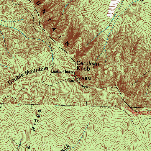 Topographic Map of Rich Mountain, TN