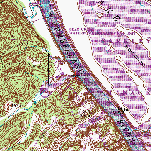 Topographic Map of Wiley Spring Branch, TN