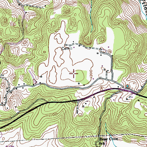Topographic Map of Dibrell Mountain, TN