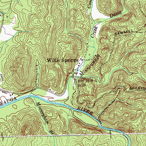Topographic Map of Sawmill Brach, TN