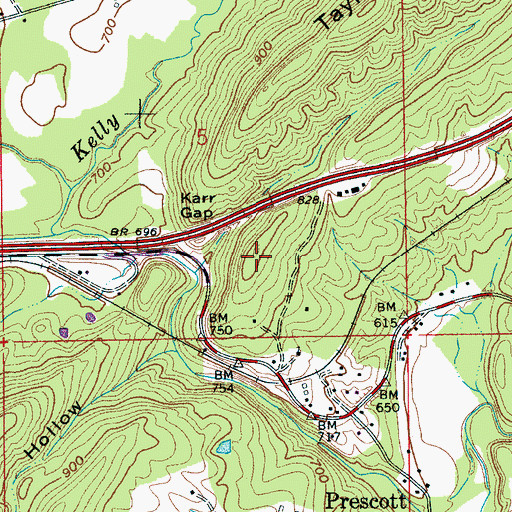 Topographic Map of Turtle Rock, AL