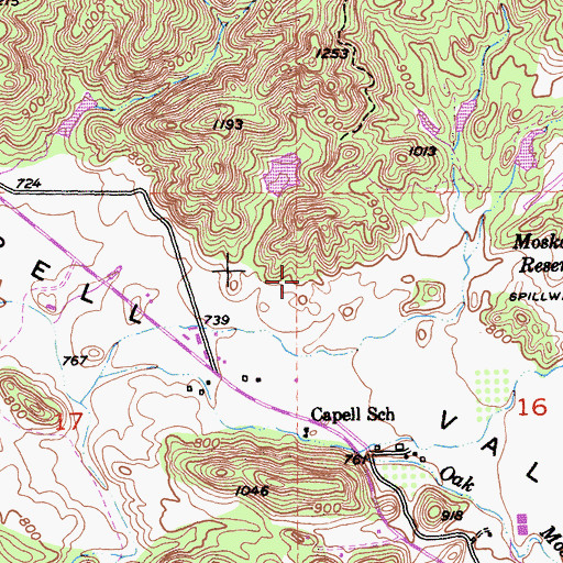 Topographic Map of Moskowite Airport (historical), CA