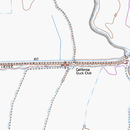 Topographic Map of California Duck Club, CA