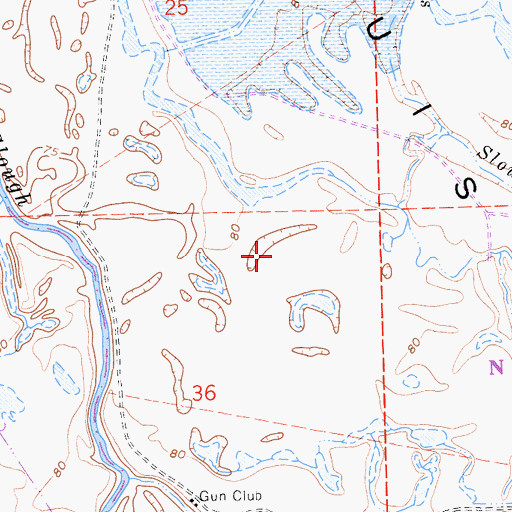 Topographic Map of San Luis Island, CA