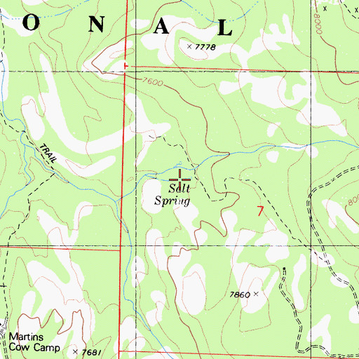 Topographic Map of Salt Spring, CA