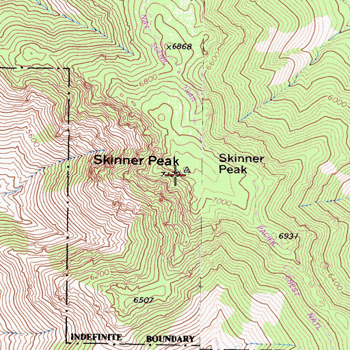Topographic Map of Skinner Peak, CA