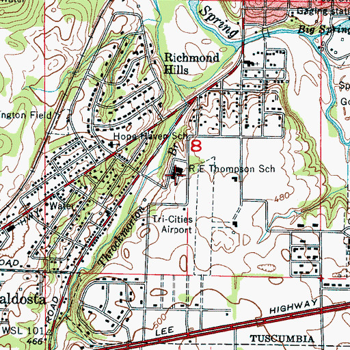 Topographic Map of R E Thompson Elementary School, AL
