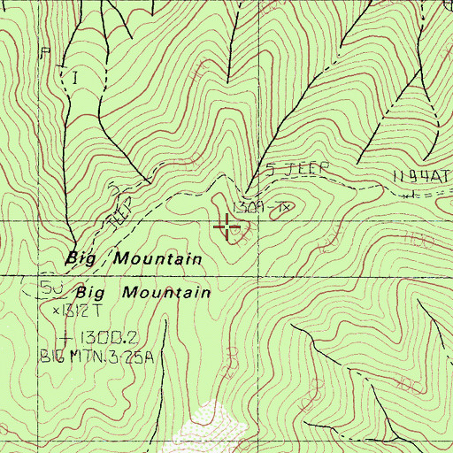 Topographic Map of Big Mountain, CA