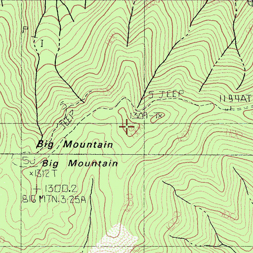 Topographic Map of Big Mountain, CA