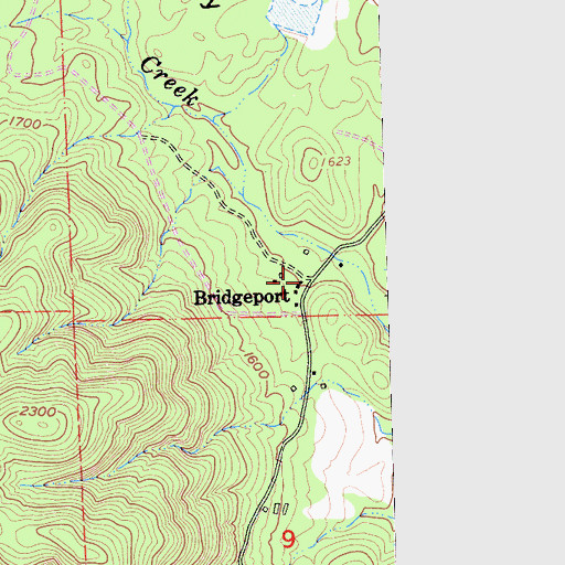 Topographic Map of Bridgeport, CA