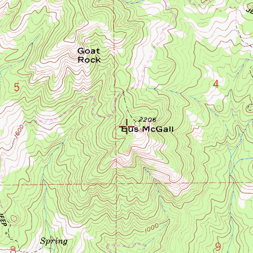Topographic Map of Bus McGall, CA