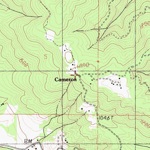 Topographic Map of Cameron, CA