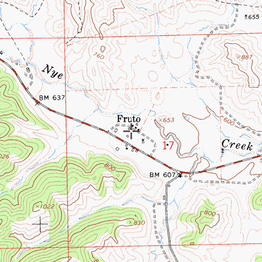 Topographic Map of Fruto, CA