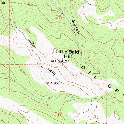 Topographic Map of Little Bald Hill, CA