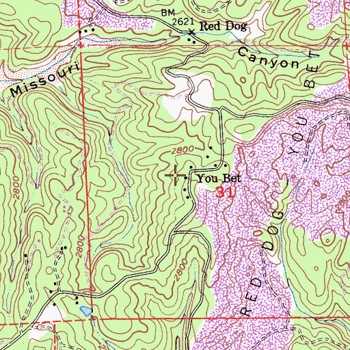 Topographic Map of You Bet, CA