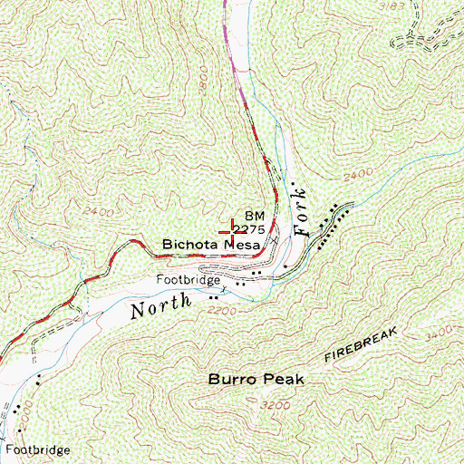Topographic Map of Bichota Mesa, CA