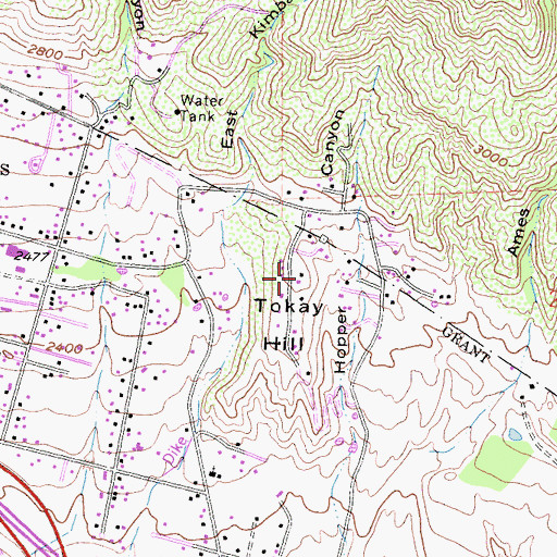 Topographic Map of Tokay Hill, CA