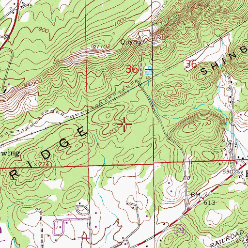 Topographic Map of Leesburg Division, AL