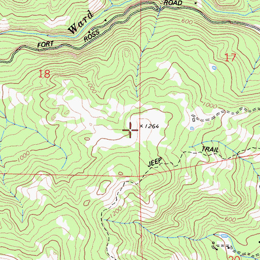 Topographic Map of The Racetrack, CA