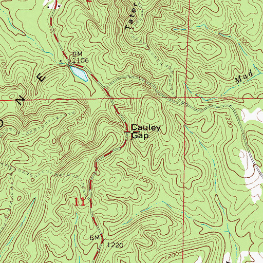Topographic Map of Lineville Division, AL