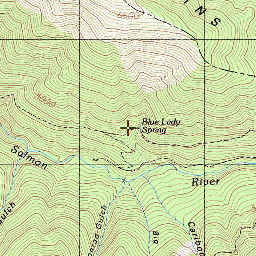 Topographic Map of Blue Lady Spring, CA