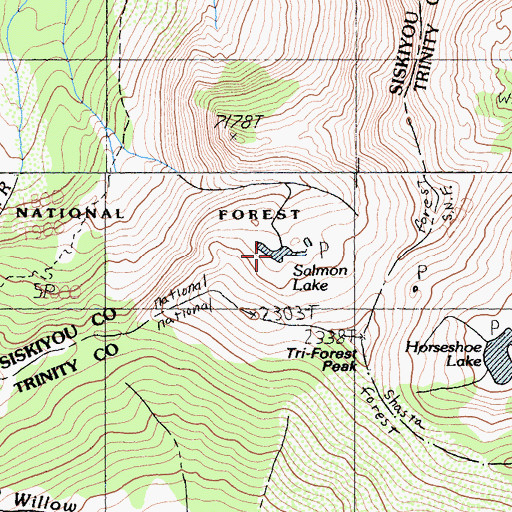 Topographic Map of Salmon Lake, CA