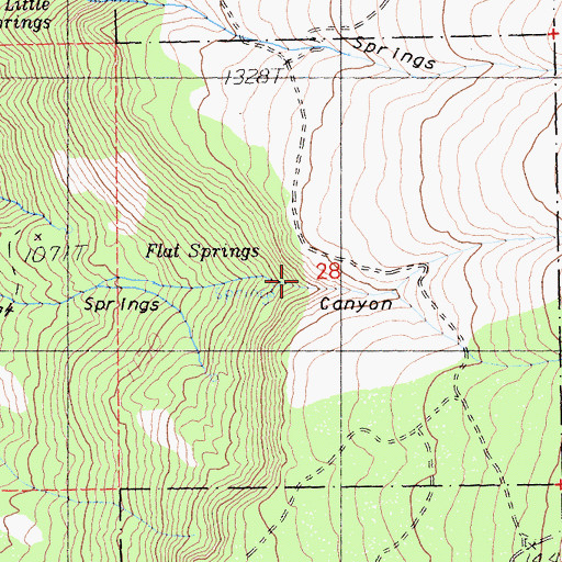 Topographic Map of Flat Springs, CA