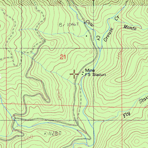 Topographic Map of Mine Forest Service Station, CA