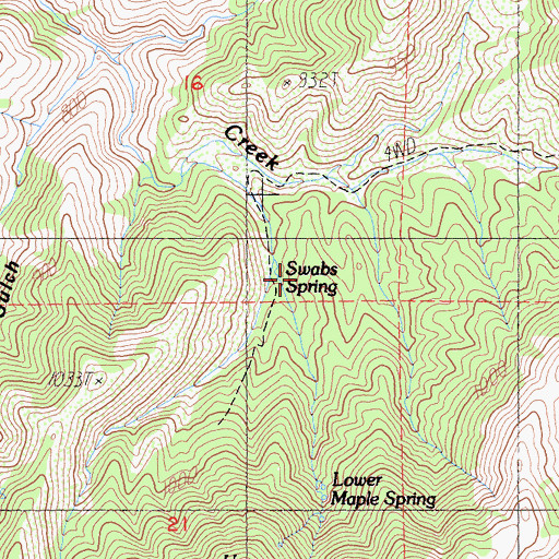 Topographic Map of Swabs Spring, CA
