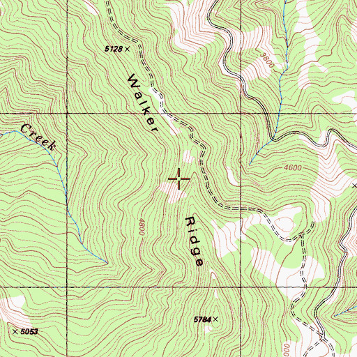 Topographic Map of Walker Ridge, CA