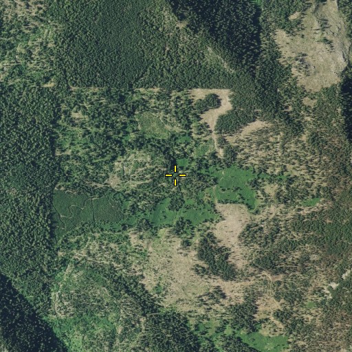 Aerial/Satellite Image of Willow Flat, CA