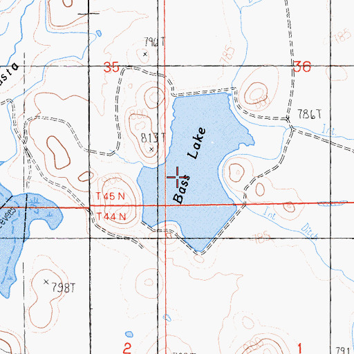 Topographic Map of Bass Lake, CA