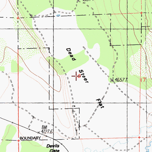 Topographic Map of Dead Steer Flat, CA
