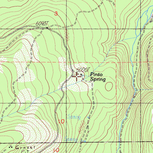 Topographic Map of Pinto Spring, CA