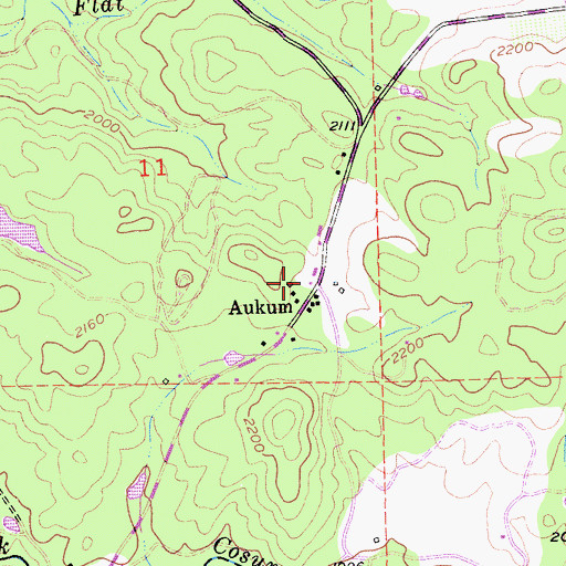 Topographic Map of Aukum, CA
