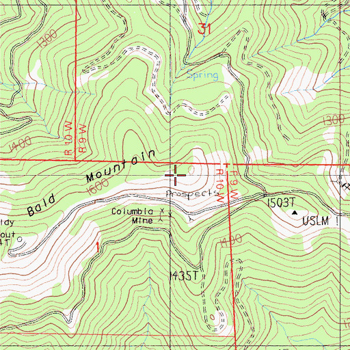 Topographic Map of Bald Mountain, CA