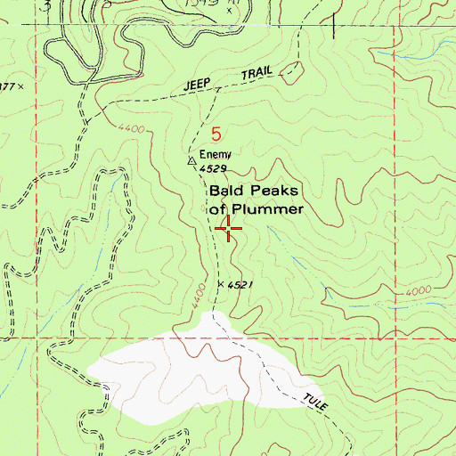 Topographic Map of Bald Peaks of Plummer, CA