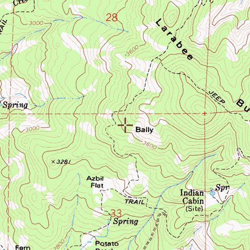 Topographic Map of Bally, CA